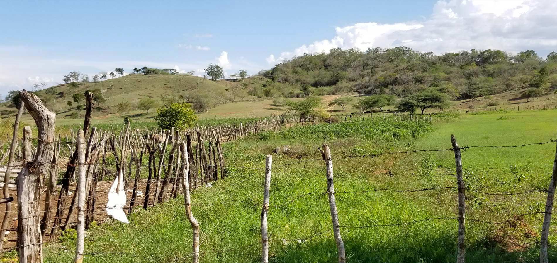 The site chosen on the hill above Cabeza de Toro for the water storage tank.
